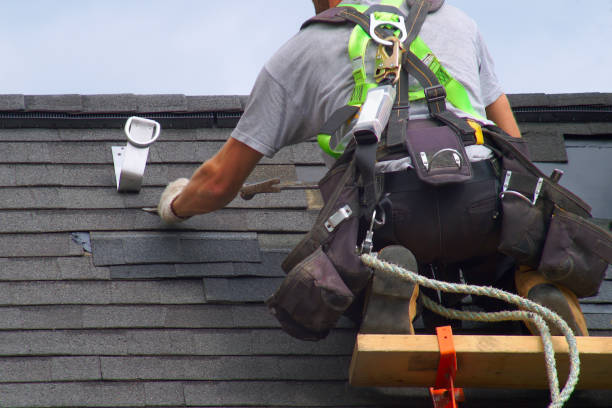 Best Roof Gutter Cleaning  in Spurgeon, TN